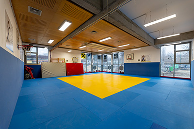 Dojo